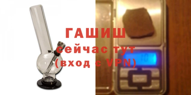 мяу мяу мука Ладушкин