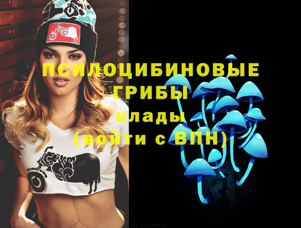 a pvp Абдулино