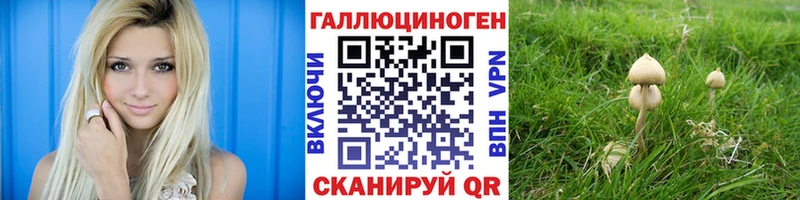 Псилоцибиновые грибы Cubensis  сколько стоит  MEGA ссылки  Прокопьевск 
